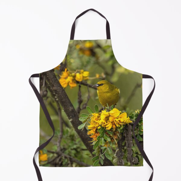 Item preview, Hawaiʻi 'Amakihi on Māmane designed and sold by Keola Makaiau.