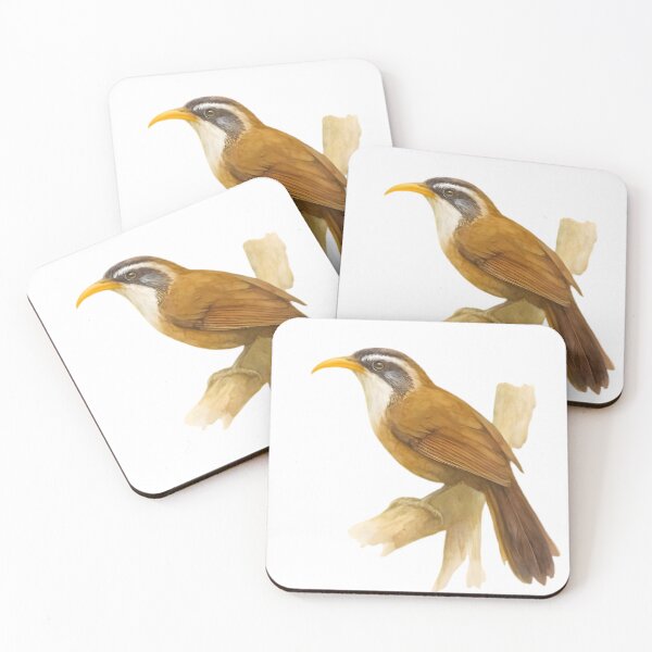Item preview, Sri Lanka Scimitar Babbler (Pomatorhinus melanurus) designed and sold by HOMETOWN86.