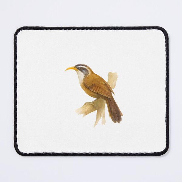 Item preview, Sri Lanka Scimitar Babbler (Pomatorhinus melanurus) designed and sold by HOMETOWN86.