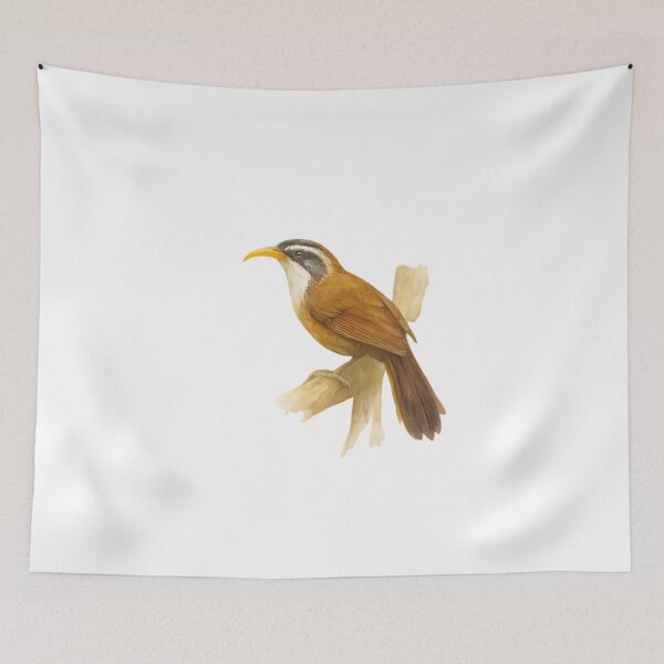 Item preview, Sri Lanka Scimitar Babbler (Pomatorhinus melanurus) designed and sold by HOMETOWN86.