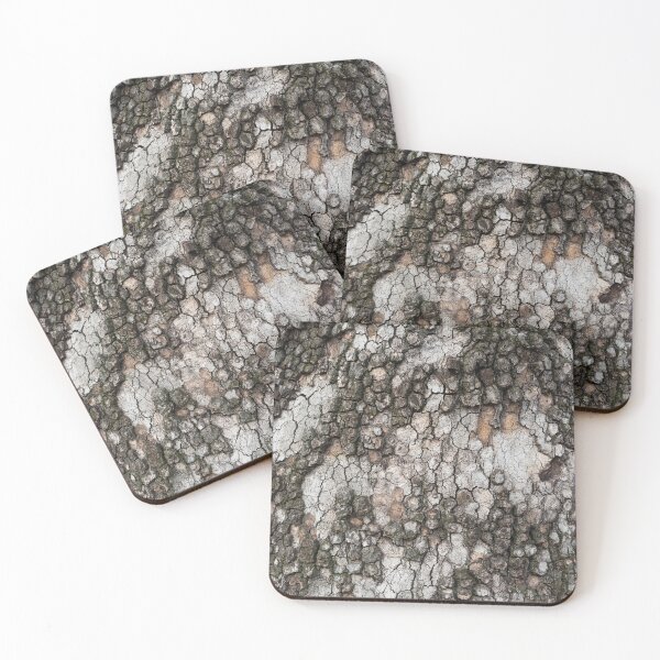 Item preview, Scaly Sycamore Tree Bark Abstract designed and sold by Georgia Mizuleva.