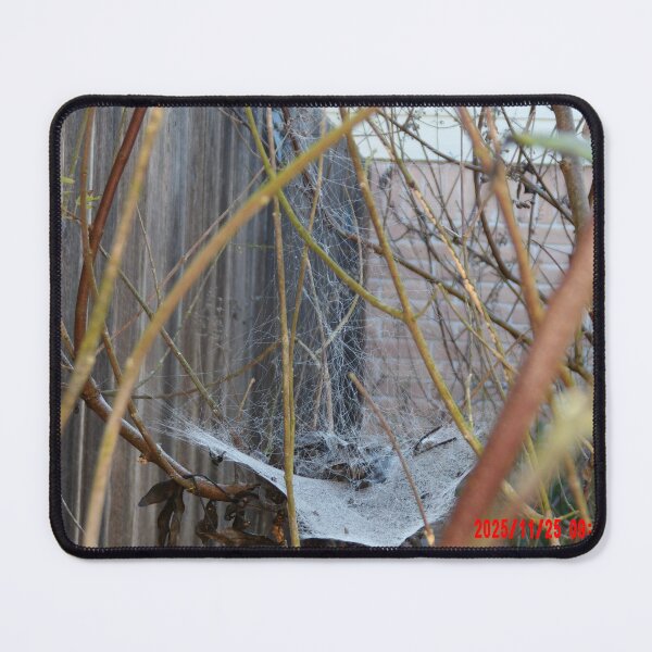 Item preview, Delicate but Strong designed and sold by SkyrozeTs.