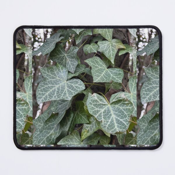 Item preview, Ivy designed and sold by AlwaysHollyJo.