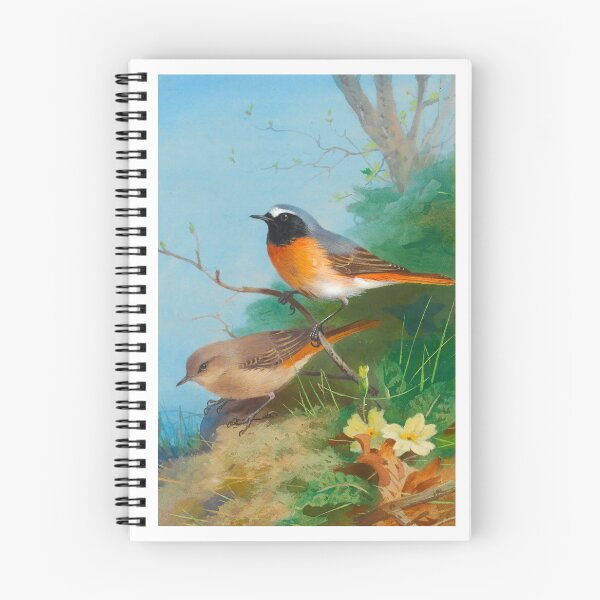 Item preview, Bird Print: Pair of Redstarts by Archibald Thorburn designed and sold by Tridentulus.
