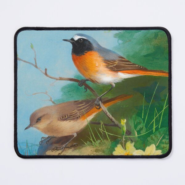 Item preview, Bird Print: Pair of Redstarts by Archibald Thorburn designed and sold by Tridentulus.