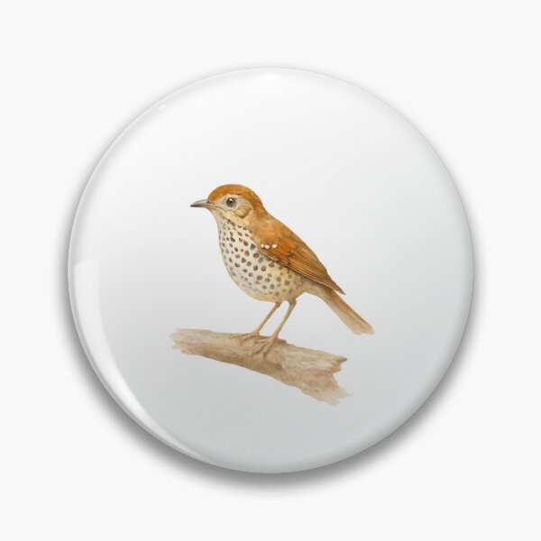 Item preview, Spot-winged Thrush (Geokichla spiloptera) designed and sold by HOMETOWN86.