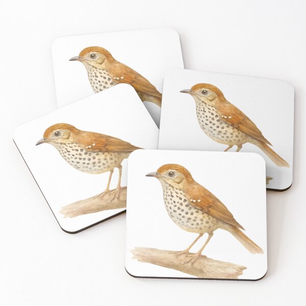 Item preview, Spot-winged Thrush (Geokichla spiloptera) designed and sold by HOMETOWN86.