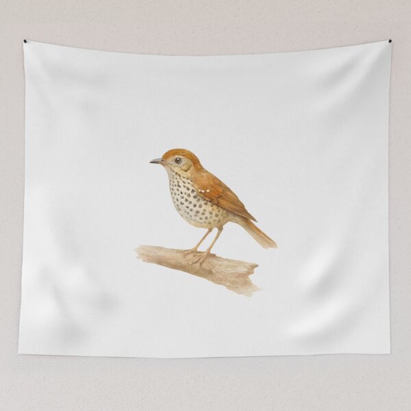 Item preview, Spot-winged Thrush (Geokichla spiloptera) designed and sold by HOMETOWN86.