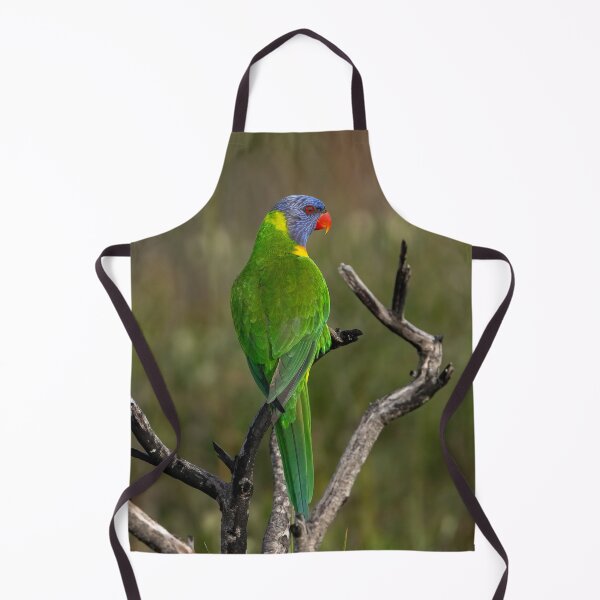 Item preview, Rainbow Lorikeet Australian Bird designed and sold by Barry Callister Photography.