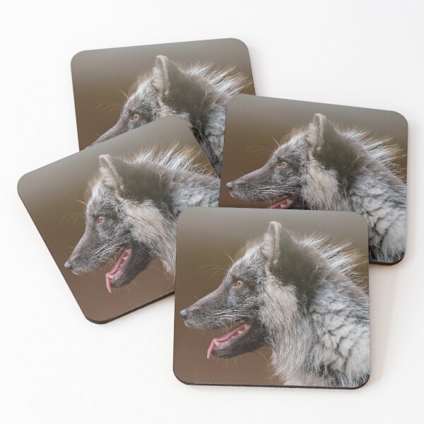 Item preview, Artic Fox Changing Fur, Unchanging Heart designed and sold by rawshutterbug.