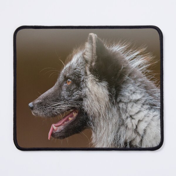 Item preview, Artic Fox Changing Fur, Unchanging Heart designed and sold by rawshutterbug.