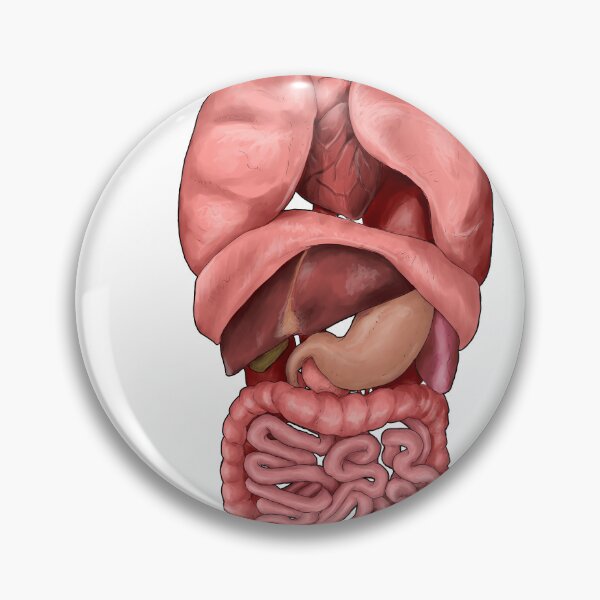 Item preview, Internal Organs designed and sold by Colin Wells.