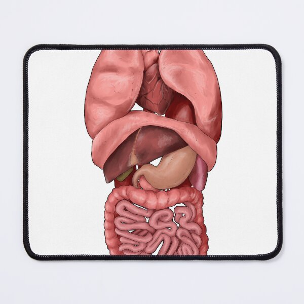 Item preview, Internal Organs designed and sold by Colin Wells.