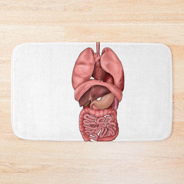 Item preview, Internal Organs designed and sold by Colin Wells.
