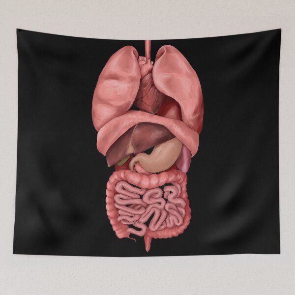 Item preview, Internal Organs designed and sold by Colin Wells.