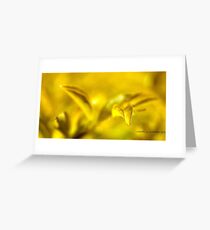 Leaf-In-Flight © Vicki Ferrari Greeting Card
