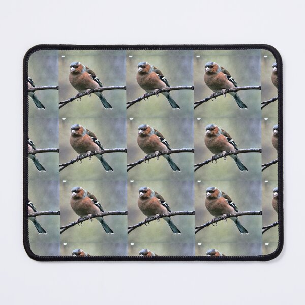 Item preview, chaffinch designed and sold by KathleenDawson.