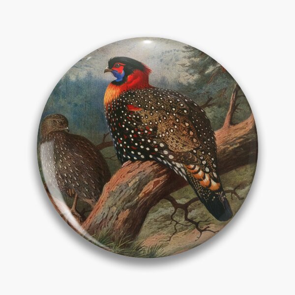 Item preview, Bird Print: Western Tragopan (Pheasant) by Archibald Thorburn designed and sold by Tridentulus.
