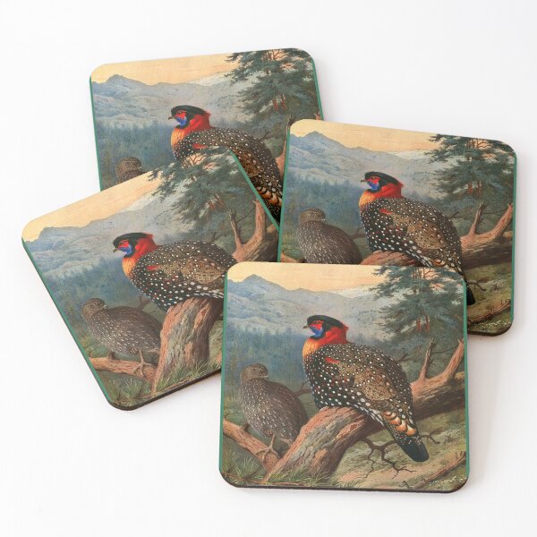 Item preview, Bird Print: Western Tragopan (Pheasant) by Archibald Thorburn designed and sold by Tridentulus.