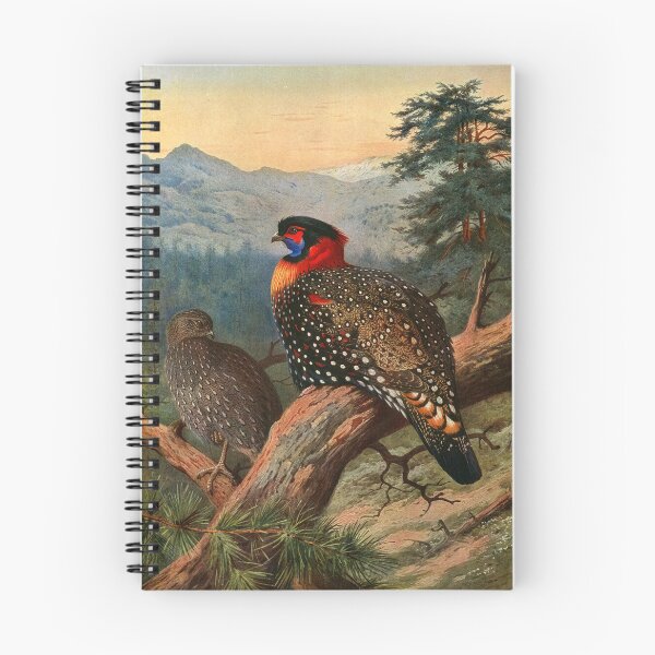 Item preview, Bird Print: Western Tragopan (Pheasant) by Archibald Thorburn designed and sold by Tridentulus.