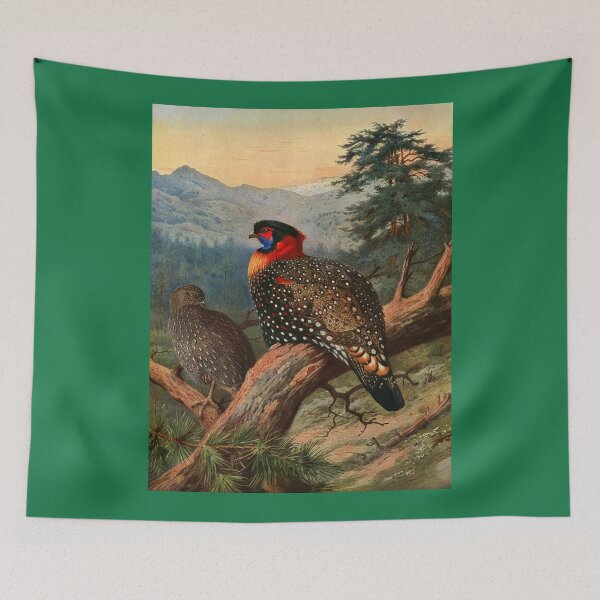 Item preview, Bird Print: Western Tragopan (Pheasant) by Archibald Thorburn designed and sold by Tridentulus.