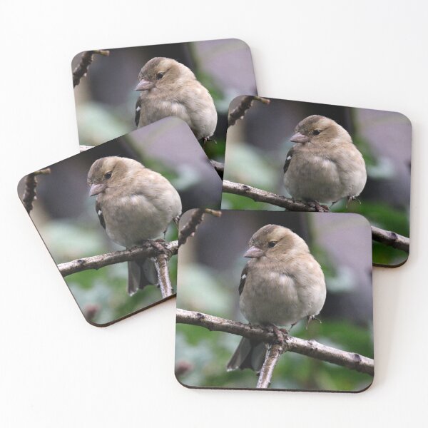 Item preview, acecho designed and sold by KathleenDawson.