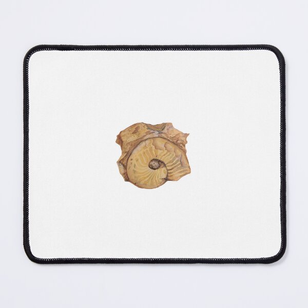 Item preview, Watercolour ammonite fossil designed and sold by Leonriell.