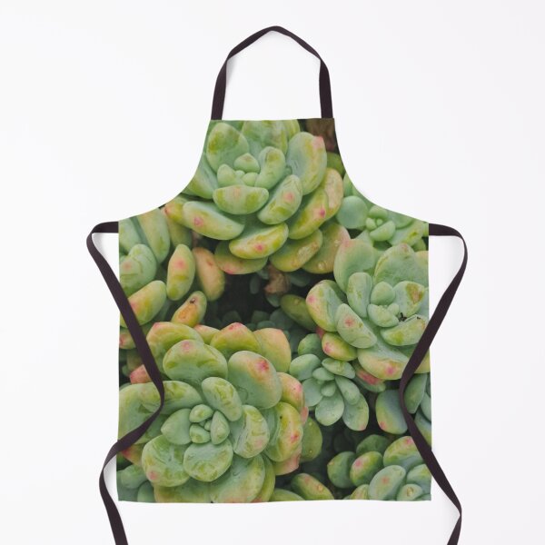 Item preview, Pastel Succulent Close-Up – Botanical Art Print designed and sold by MadeInNapTime.