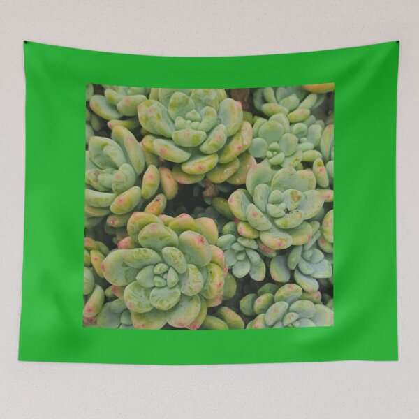 Item preview, Pastel Succulent Close-Up – Botanical Art Print designed and sold by MadeInNapTime.