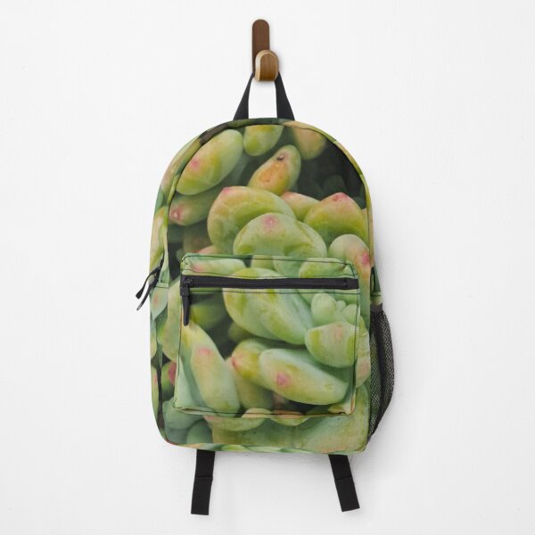 Item preview, Pastel Succulent Close-Up – Botanical Art Print designed and sold by MadeInNapTime.