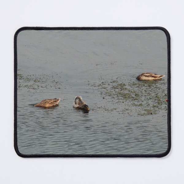 Item preview, The Quiet Float designed and sold by CinSeesSin.