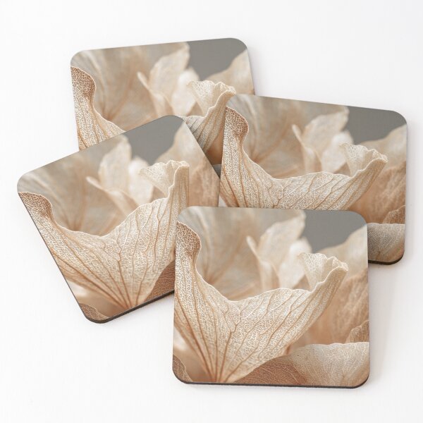 Item preview, Soft light dry flower display designed and sold by anytka.