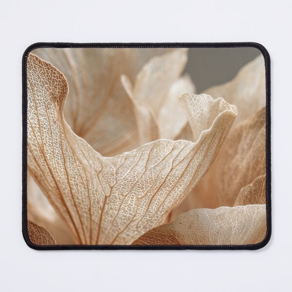 Item preview, Soft light dry flower display designed and sold by anytka.