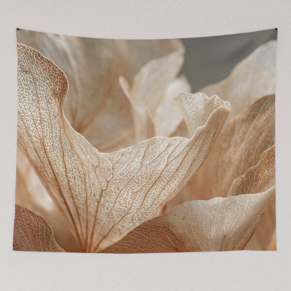 Item preview, Soft light dry flower display designed and sold by anytka.