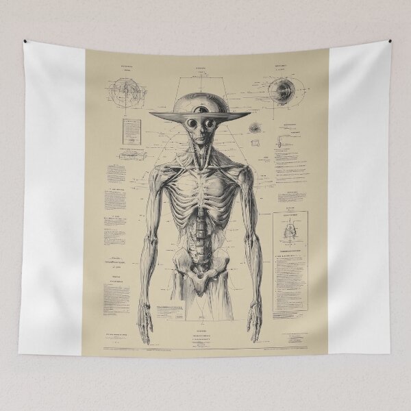 Item preview, Anatomical Study of Alien designed and sold by lautir.