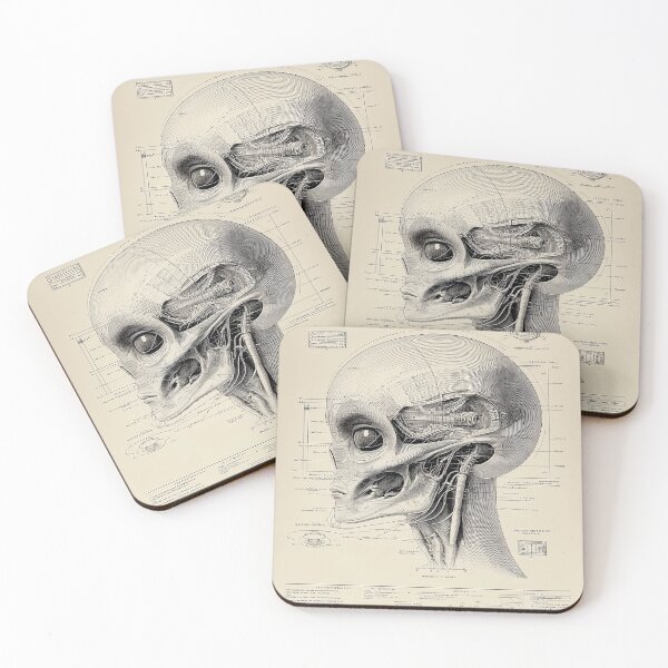 Item preview, Alien Anatomy Diagram designed and sold by lautir.
