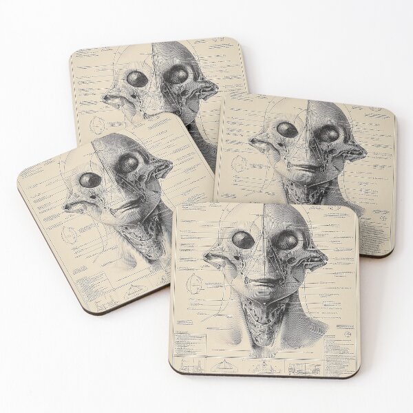 Item preview, Anatomy of an Alien Being designed and sold by lautir.