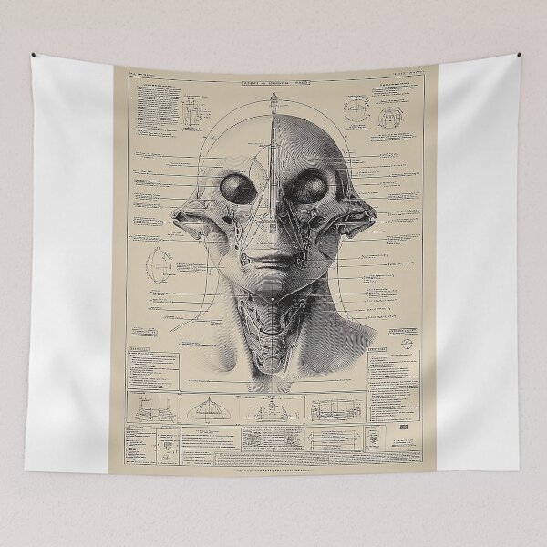 Item preview, Anatomy of an Alien Being designed and sold by lautir.