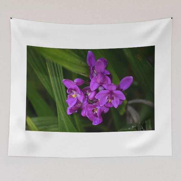 Item preview, Vibrant Purple Orchids designed and sold by MercerImages.