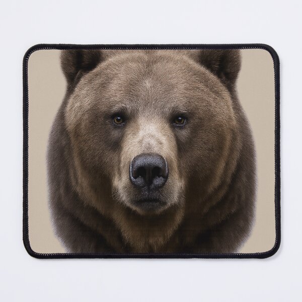 Item preview, Grizzly Bear Face – Realistic Wildlife Portrait Illustration designed and sold by BROHLine Studio.