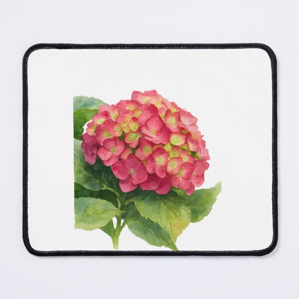 Item preview, Hydrangea macrophylla ‘Endless Summer’ designed and sold by HOMETOWN86.