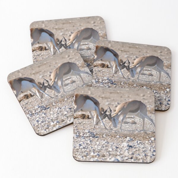 Item preview, Young fighting springboks designed and sold by Photopat.