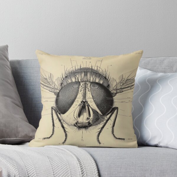 Item preview, Detailed Anatomical Study of a Fly designed and sold by lautir.