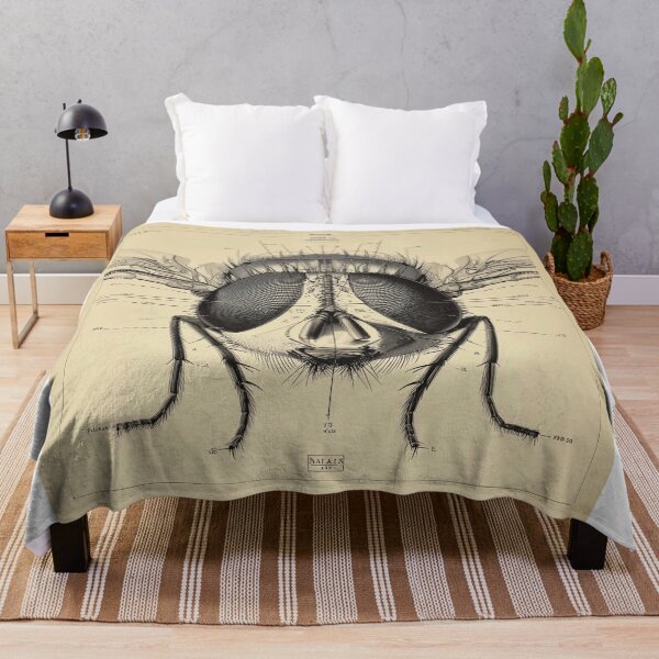 Item preview, Detailed Anatomical Study of a Fly designed and sold by lautir.