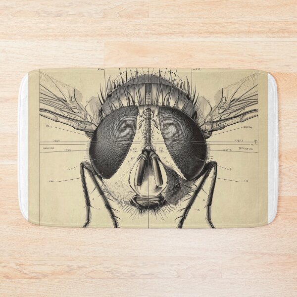 Item preview, Detailed Anatomical Study of a Fly designed and sold by lautir.