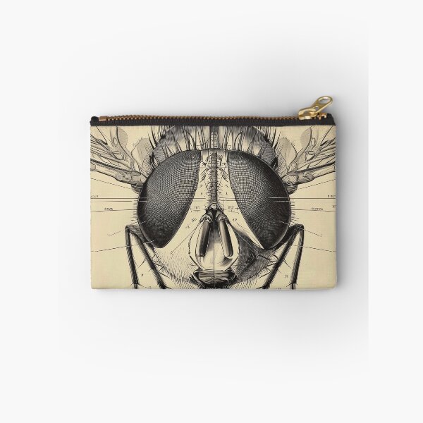 Item preview, Detailed Anatomical Study of a Fly designed and sold by lautir.