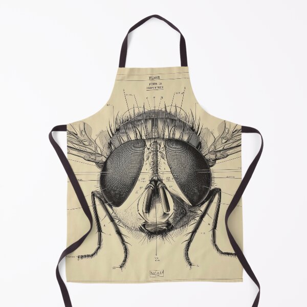 Item preview, Detailed Anatomical Study of a Fly designed and sold by lautir.
