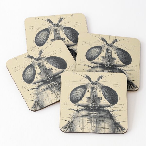 Item preview, Mechanical Diagram of a Fly designed and sold by lautir.