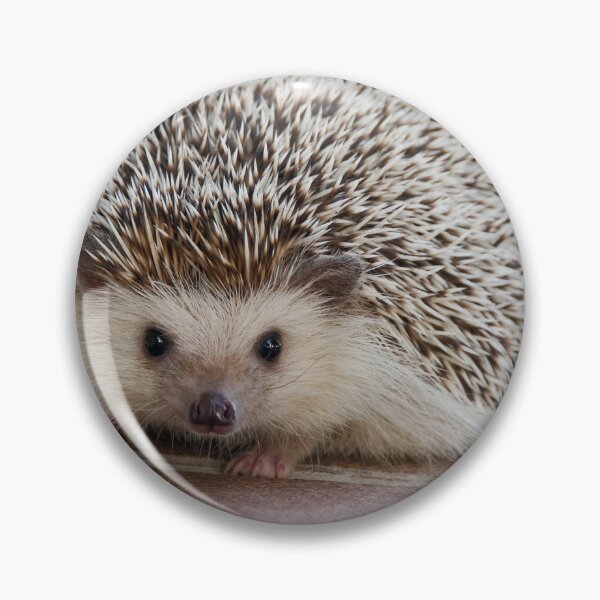 Item preview, Cute Little Hedgehog designed and sold by cgroenewald.