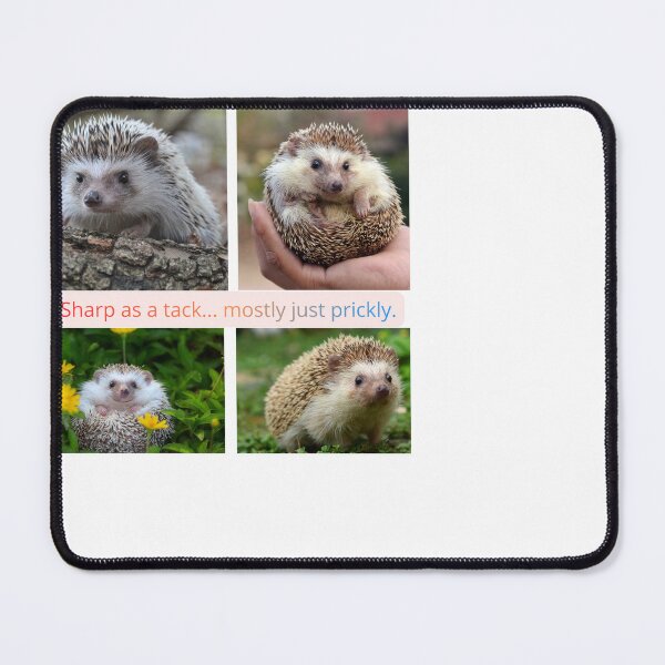 Item preview, Sharp as a tack... designed and sold by EggPig.
